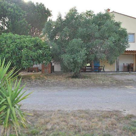 Mas De La Vignassa Villa Le Soler Dış mekan fotoğraf