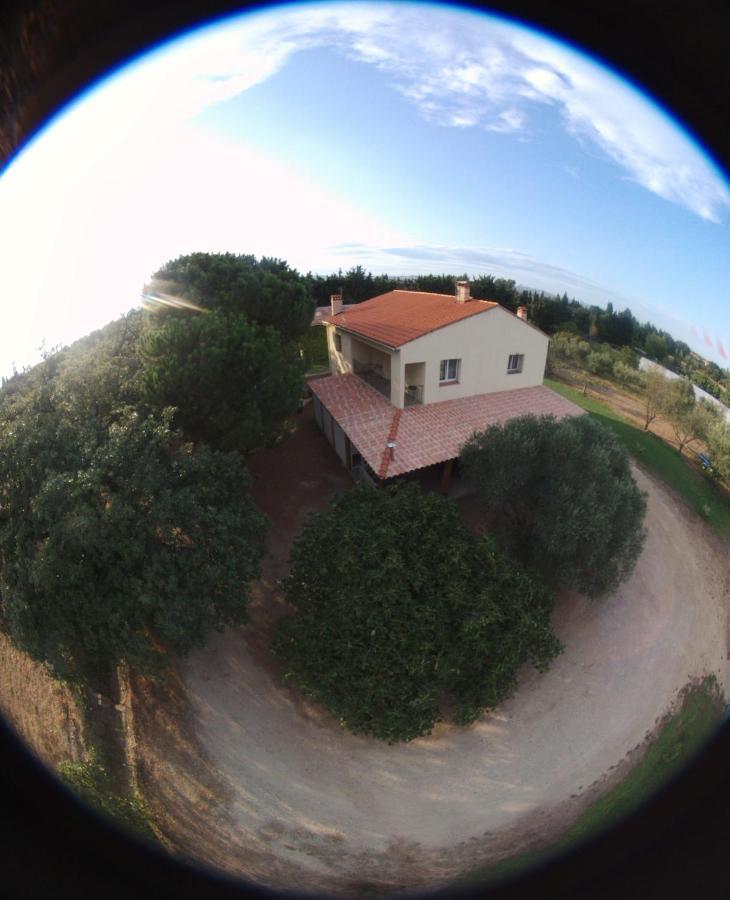 Mas De La Vignassa Villa Le Soler Dış mekan fotoğraf