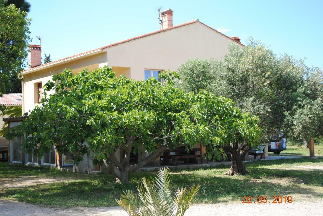 Mas De La Vignassa Villa Le Soler Dış mekan fotoğraf